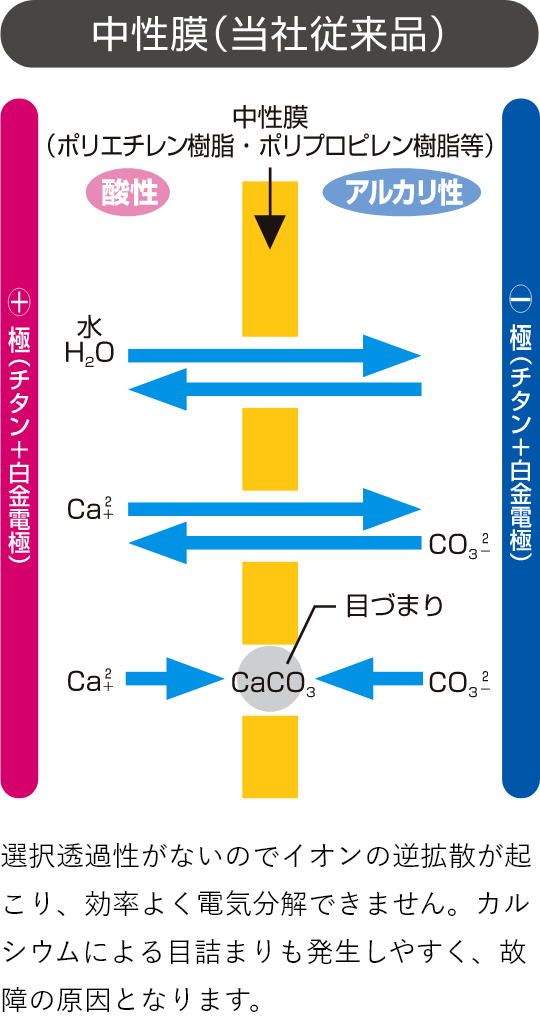 中性膜の働き