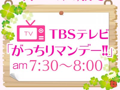 TBSテレビ「がっちりマンデー！！」